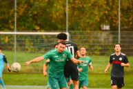 TSV Abtswind - SV Fortuna Regensburg  2:0 (1:0) | 02.11.2024