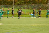 TSV Abtswind - SV Fortuna Regensburg 2:0 (1:0) | 02.11.2024