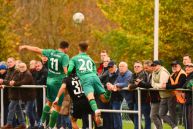 TSV Abtswind - SV Fortuna Regensburg  2:0 (1:0) | 02.11.2024