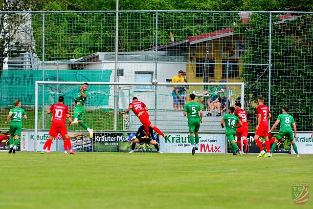 TSV Abtswind - SV Vatan Spor Aschaffenburg 1:0 (1:0) | 24.07.2021