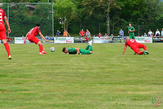 TSV Abtswind - SV Vatan Spor Aschaffenburg 1:0 (1:0) | 24.07.2021