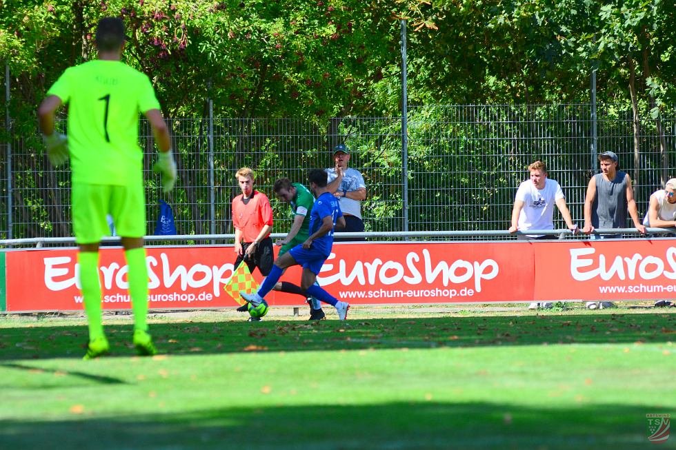Würzburger FV – TSV Abtswind : 3:0 (1:0) | 05.08.2018